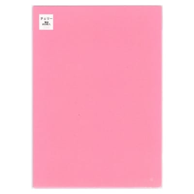 tカラぺ A4（チェリー）