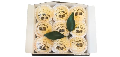 日向夏 / 包み紙 / ひゅうちゃん農園様