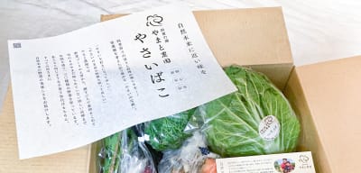 やさいばこ / 掛け紙 / 加賀の國やまと農園様