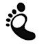 Big Foot Transport LLC logo