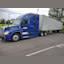 TRUCKING IT LLC  logo