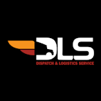 DLS Inc logo