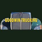 CHARLES D GOODWIN INC logo