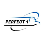 PERFECT 1 LLC logo