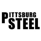 PITTSBURG STEEL LLC logo