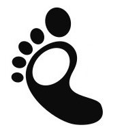 Big Foot Transport LLC