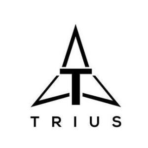 TRIUS TRUCKING INC
