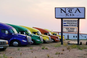 NTA, LTD.