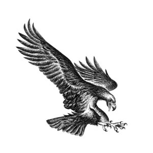 BLACK EAGLE EXPRESS LLC