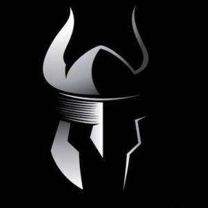 VIKING TRANSPORTATION INC