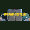 CHARLES D GOODWIN INC Logo