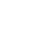 STM EXPRESS INC Logo