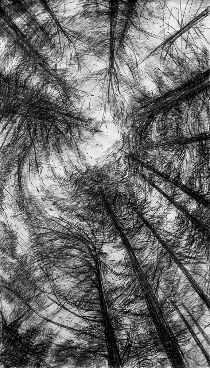 Tree - Upward drawing