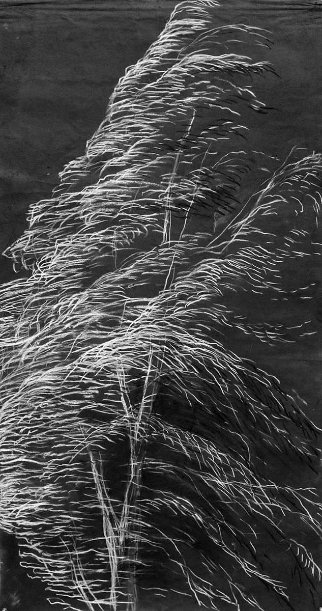 Windy Netherland drawing
