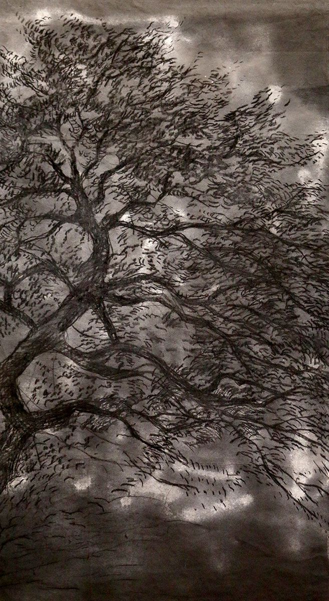 Oak Tree in the Night drawing