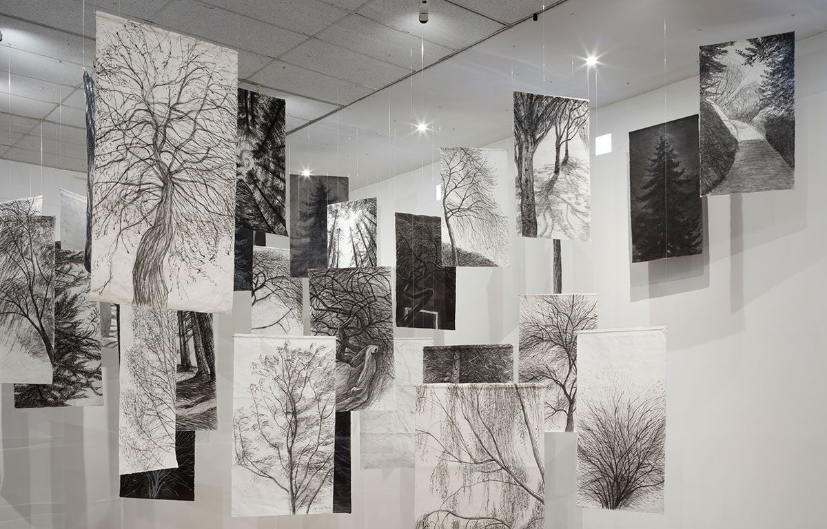 Hanging charcoal drawings of trees constitute the Floating Trees component of the installation