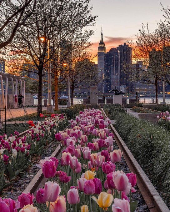 Rent an apartment to tourists for a day through Your Price Booking | Hunters Point, Queens, New York City, USA