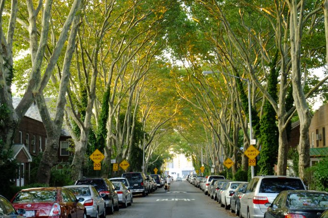Rent an apartment to tourists for a day through Your Price Booking | Sunnyside Gardens, Queens, New York City, USA