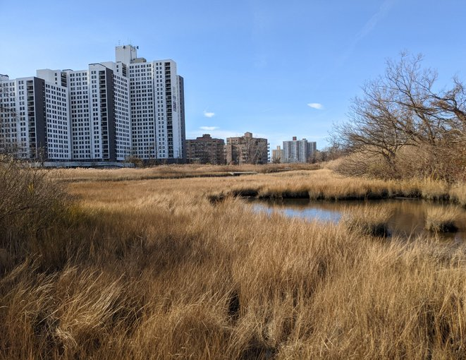 Rent an apartment to tourists for a day through Your Price Booking | Far Rockaway, Queens, New York City, USA