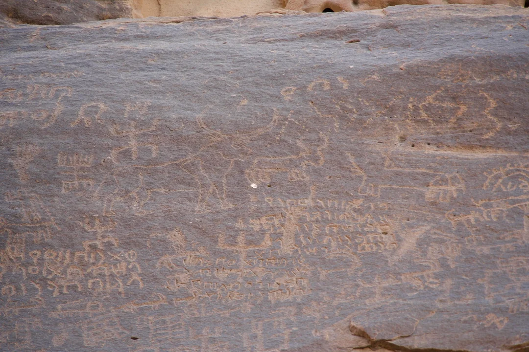 Ancient rock carvings (petroglyphs) in the desert, featuring a prominent ibex with large curved horns, surrounded by numerous inscriptions in an early South Arabian script (Ancient North Arabian or Thamudic).