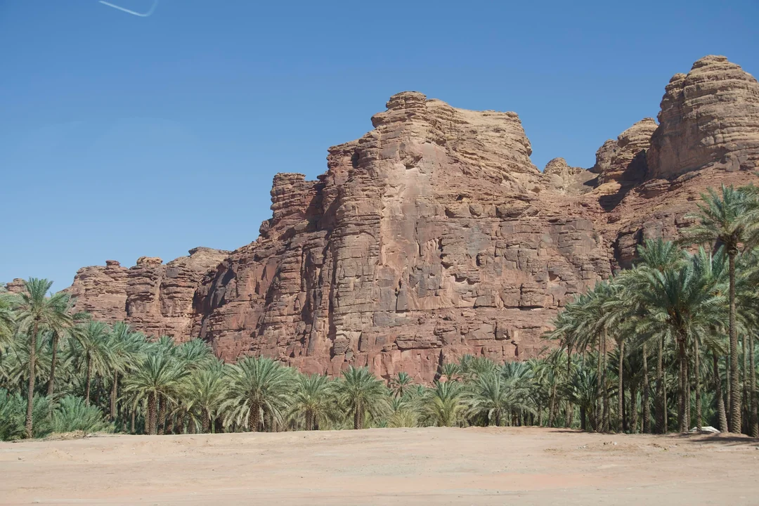 A large reddish-brown sandstone cliff rising behind a dense grove of green palm trees under a clear blue sky.