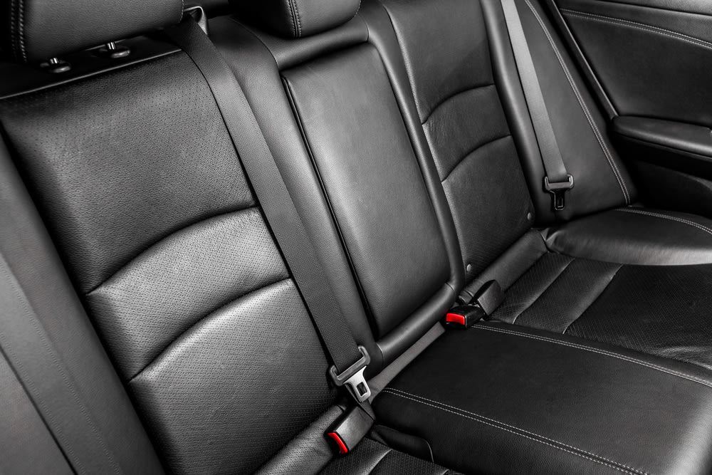 Best Seat Cushions Car, Office, Wheelchair - Voted Top 10 