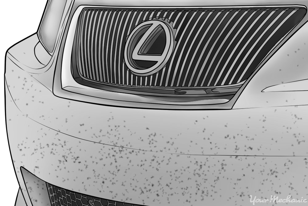 How to remove bugs from your car without damaging its paint