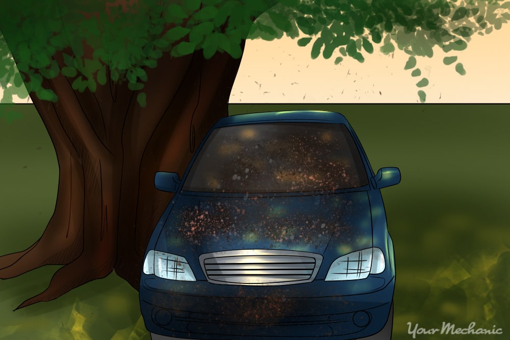 How To Get Sap Off A Car Yourmechanic Advice