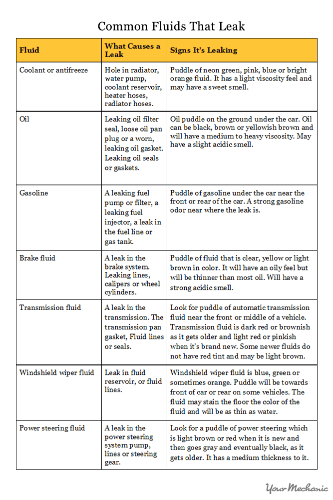 common types of leaking fluid