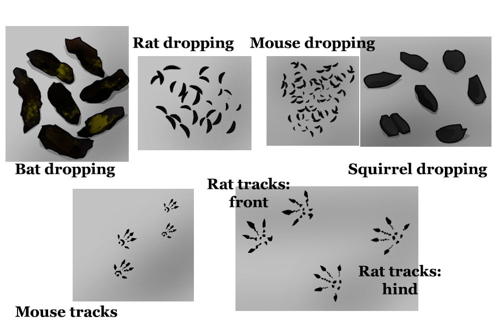 dropping and track types