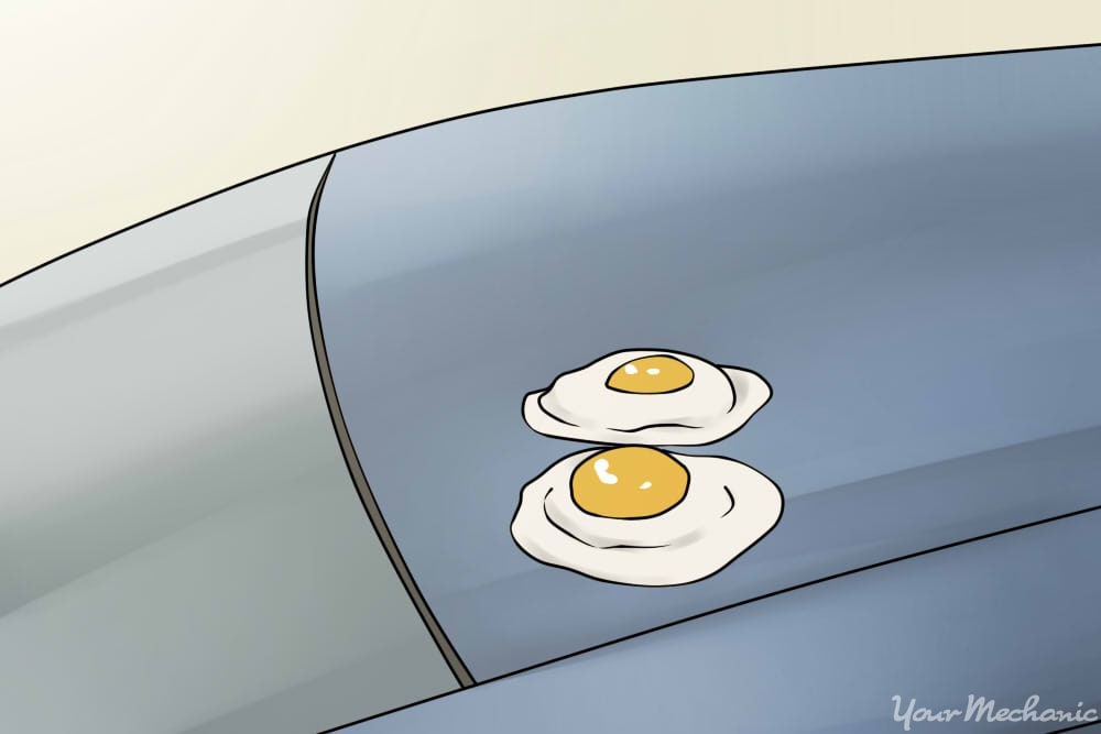 eggs cooking on car