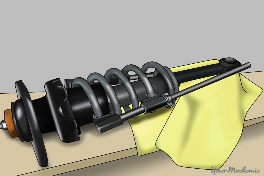 spring shown in strut assembly