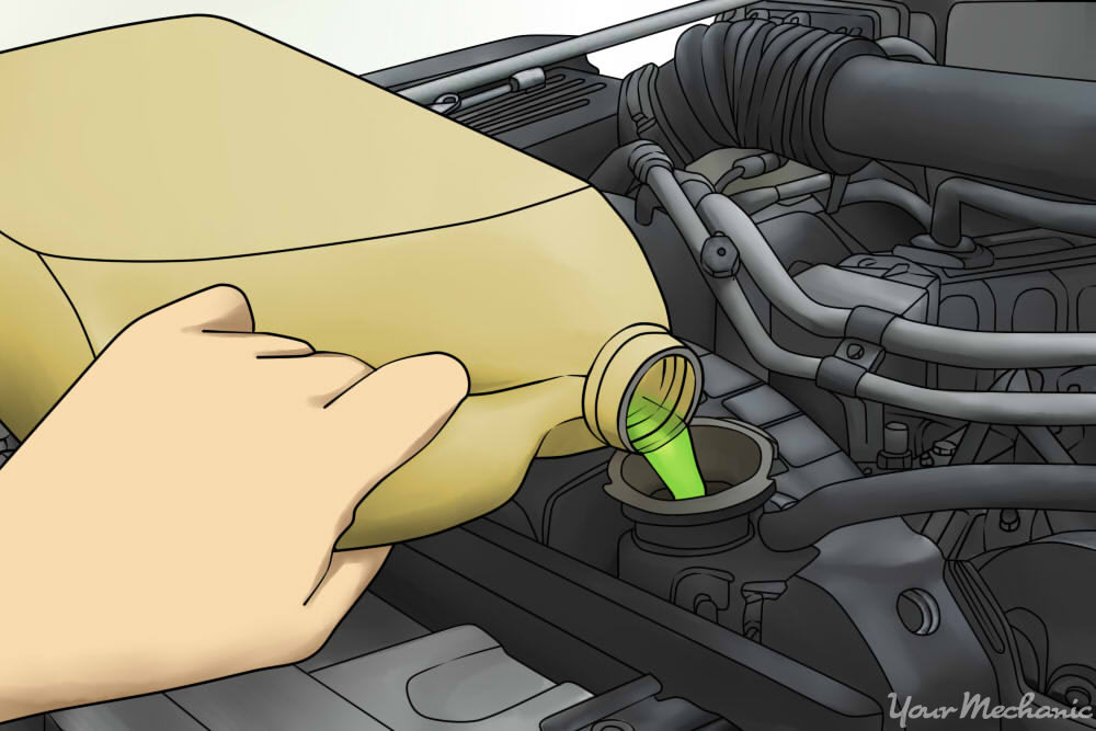 Replacing a Radiator Hose