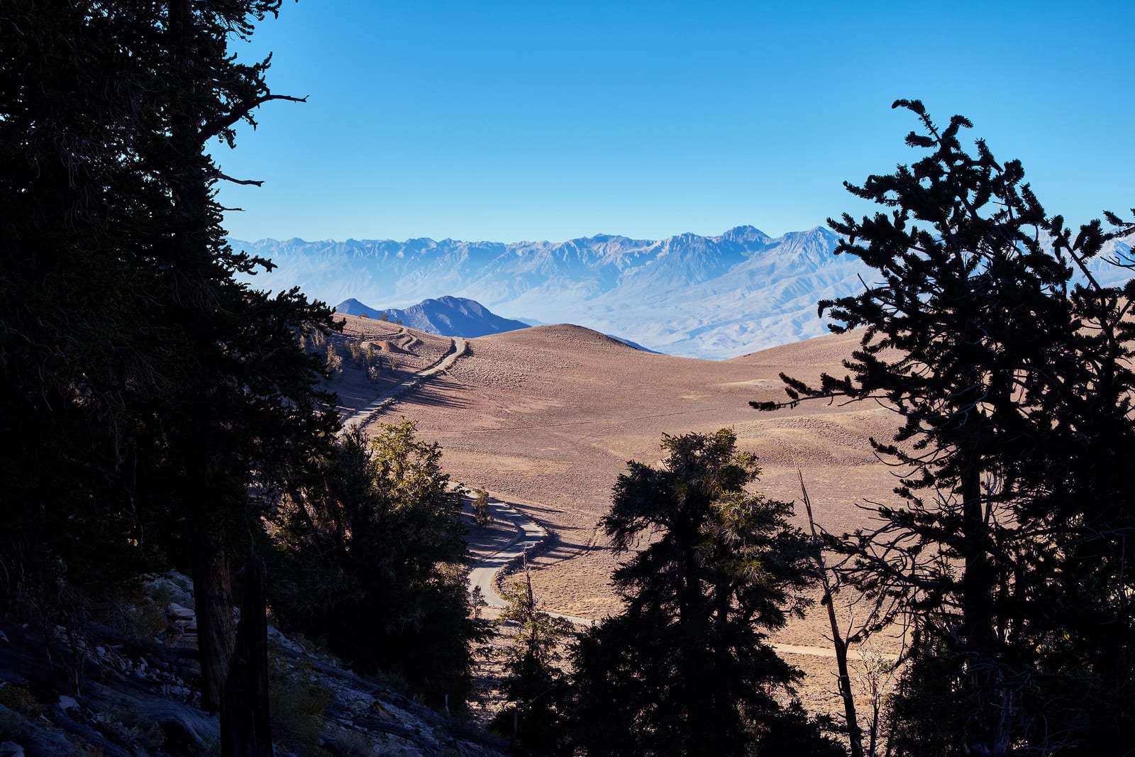 Ancient Bristlecone Scenic Byway Northern California