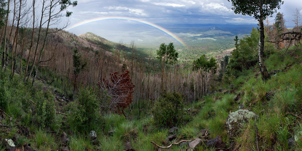 Coronado Trail Scenic Byway Arizona