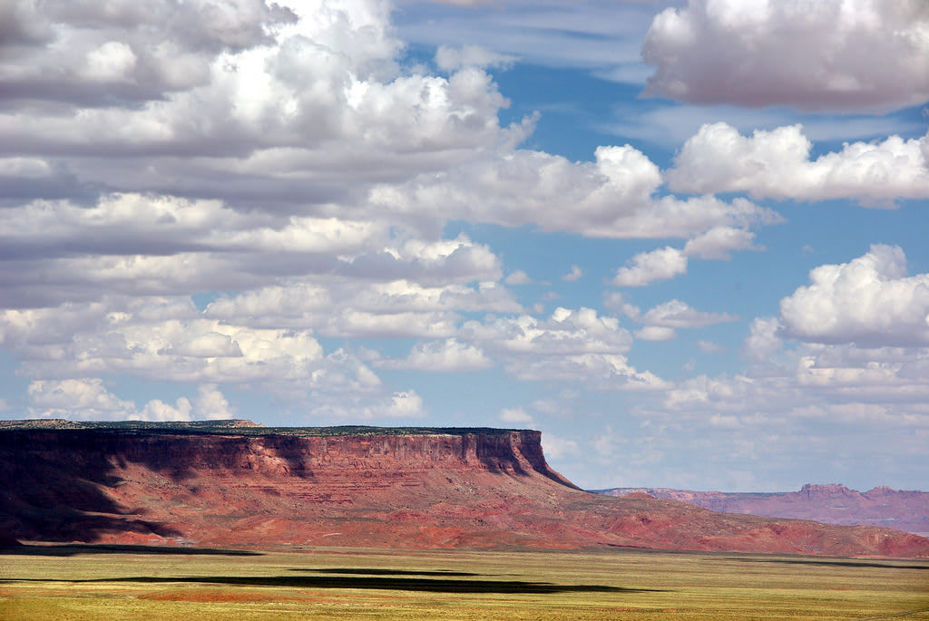 Kaibab Plateau Arizona