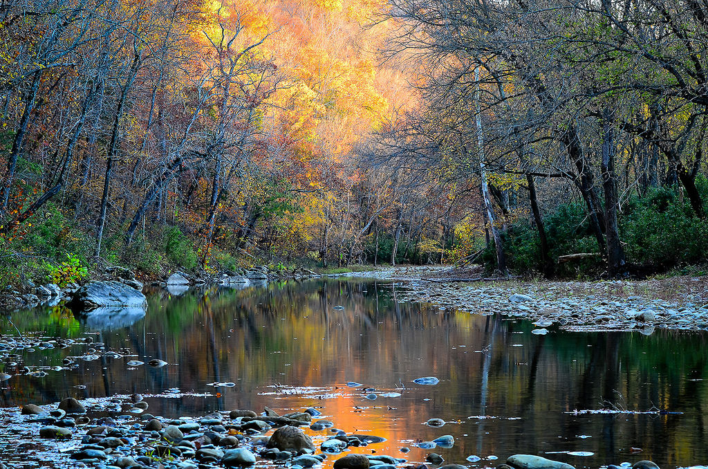 Buffalo Hills Arkansas