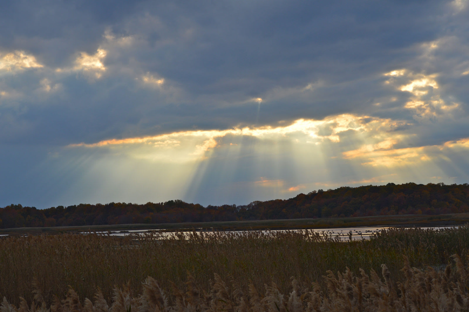 Mouth of the Delaware to Brandywine Delaware