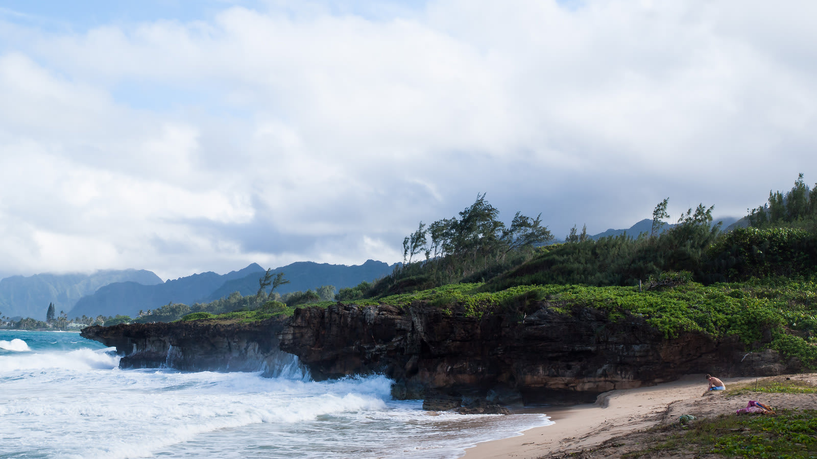 Pearl Harbor and Windward Coast Hawaii