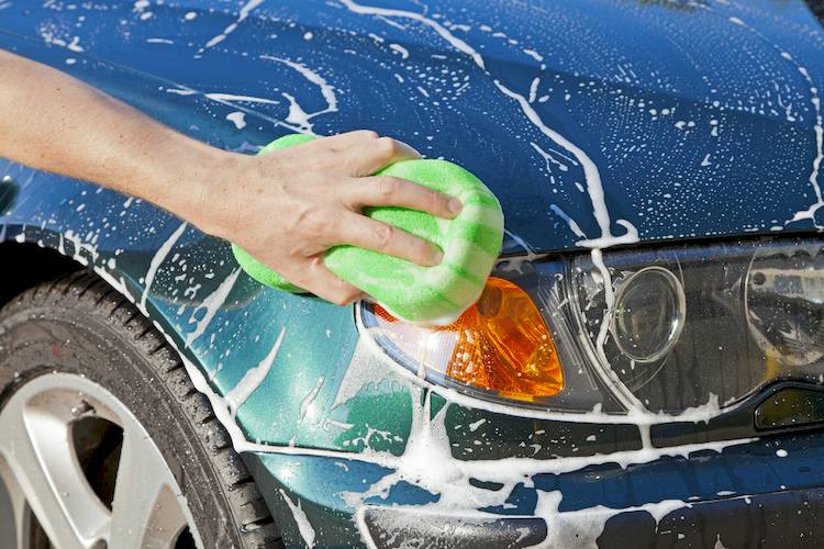 how to remove insects from car paint