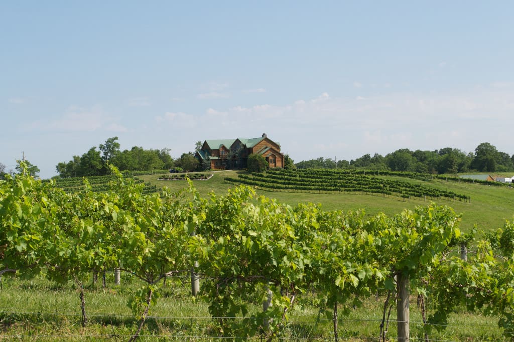 Elk Creek Winery Loop Kentucky