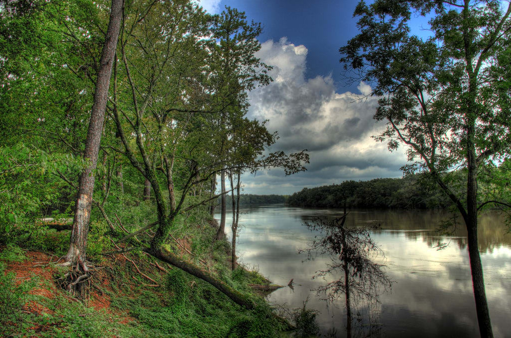 Mid-State 8 Louisiana