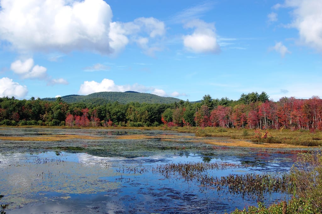 Million Dollar View, Maine