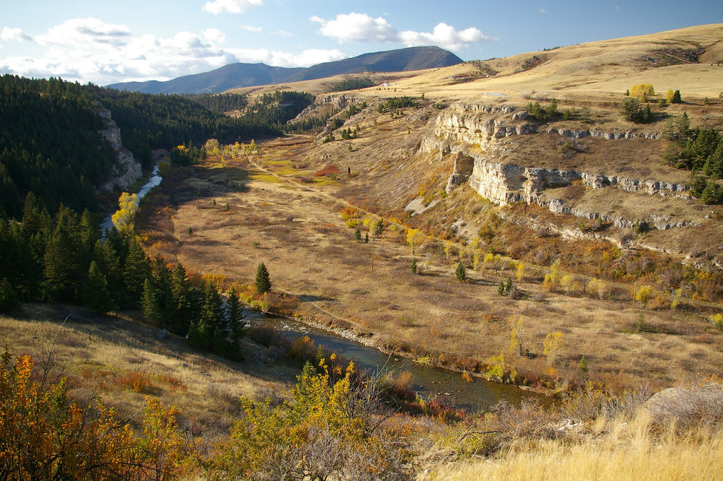 Glacier to Yellowstone Montana