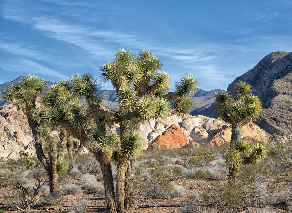 Rainbow Canyon Scenic Drive Nevada