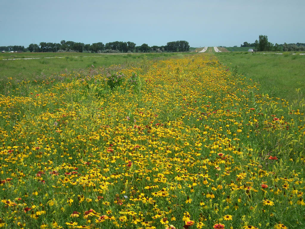 Chan SanSan Scenic Backway North Dakota