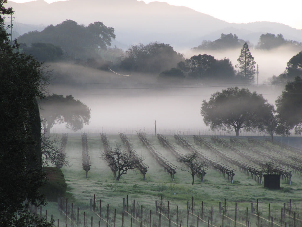 Silverado Trail Northern California