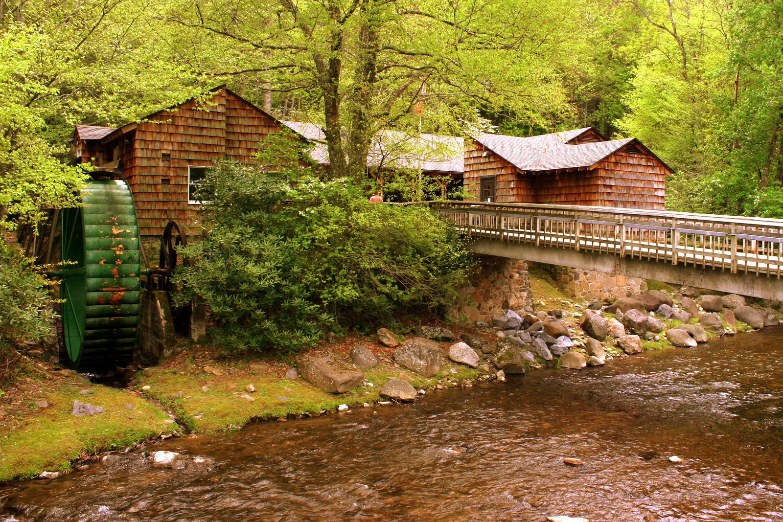 Roan Mountain Road Tennessee