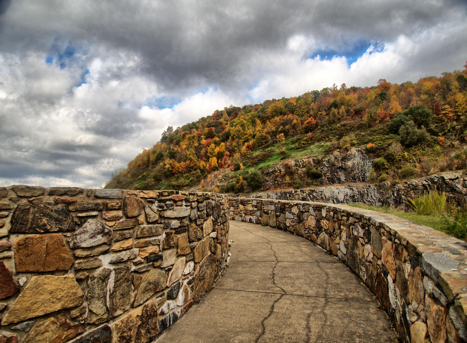 The Snake Tennessee