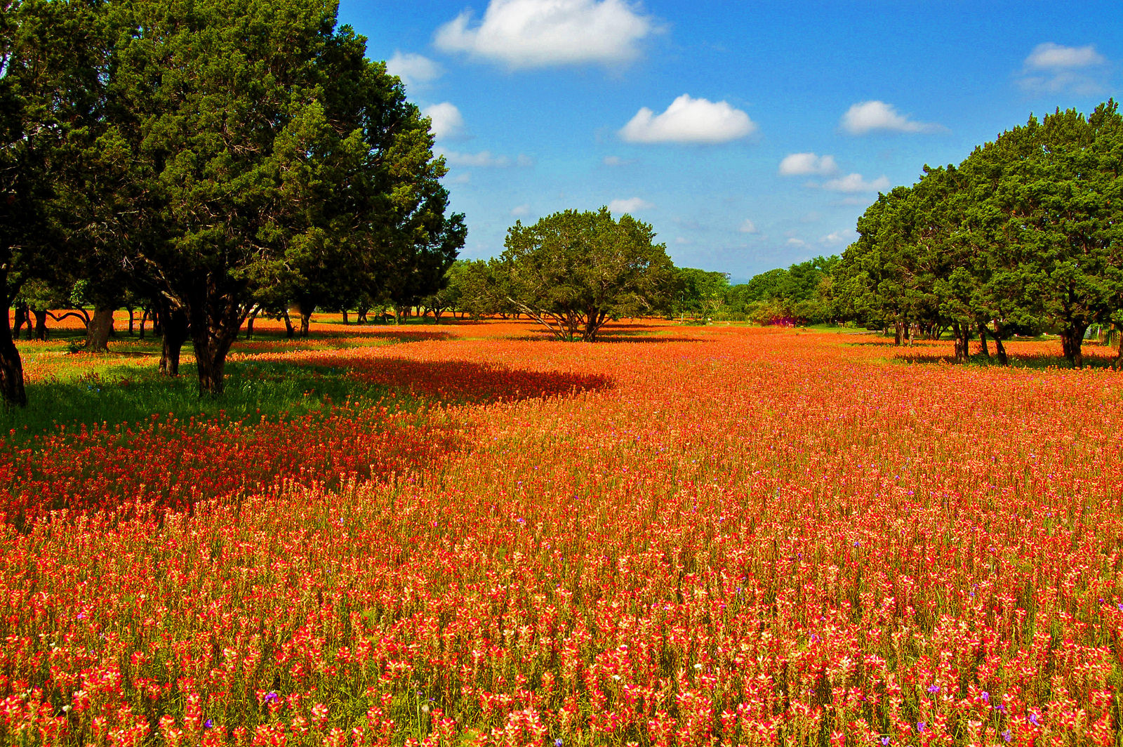 Texas Hill Country Texas